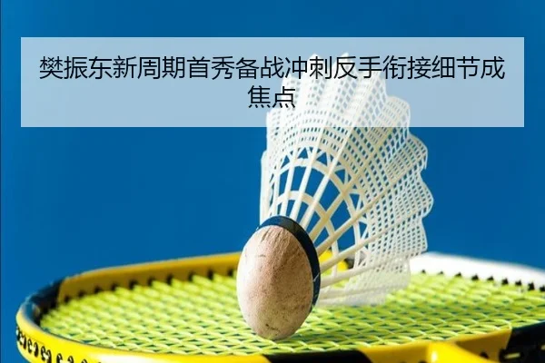 樊振东新周期首秀备战冲刺反手衔接细节成焦点