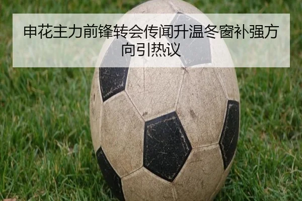 申花主力前锋转会传闻升温冬窗补强方向引热议